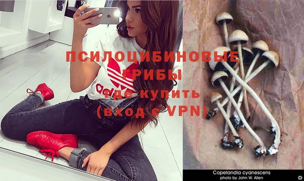 jwh Аркадак