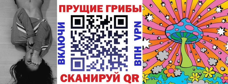 KRAKEN как зайти  Армянск  Псилоцибиновые грибы Psilocybine cubensis 
